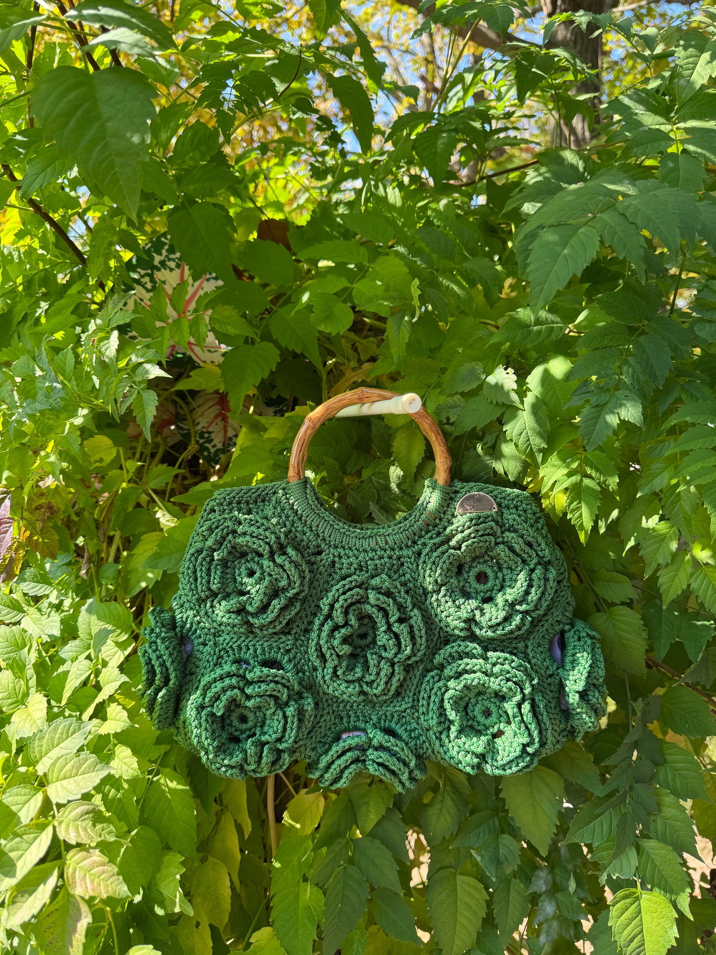 Rosette Bloom
